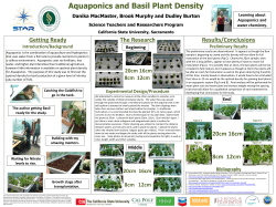 Aquaponics and Basil Plant Density