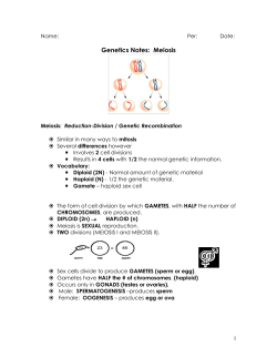 Genetics Notes: Meiosis