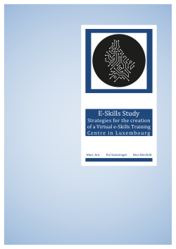 E-Skills Study