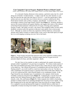 Are Copepods Coping With Oxygen Stress