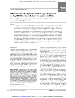 PI3K Stimulates DNA Synthesis and Cell
