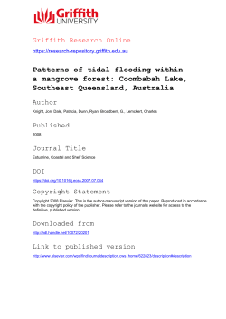 Patterns of tidal flooding within a mangrove forest