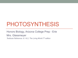 Photosynthesis Lecture