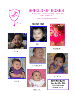 spring newsletter 2013