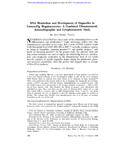 DNA Metabolism and Development of Organelles in Guinea