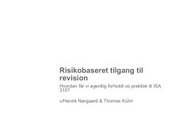 Risikobaseret tilgang til revision