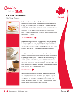 Canadian Buckwheat