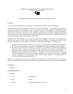 Dalbergia proposal_Guatemala