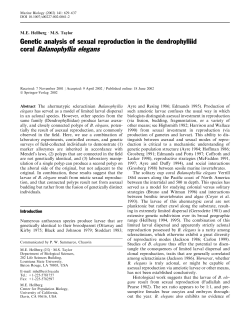 coral Balanophyllia elegans - Louisiana State University