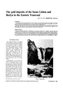 The gold deposits of the farms Lisbon and Berlyn in the