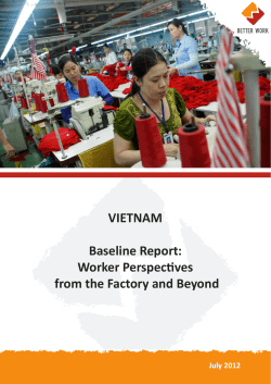 Impact Research: Vietnam Baseline Report &ndash; Worker