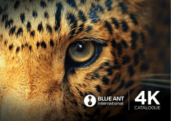 hope for wildlife