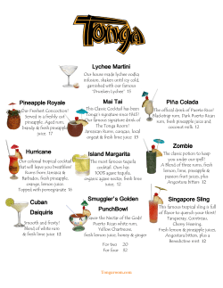 Mai Tai Singapore Sling Singapore Sling Pineapple