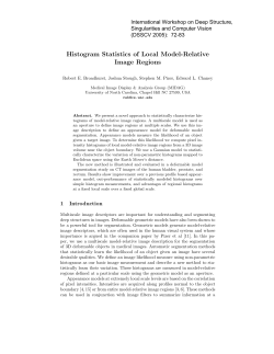 Histogram Statistics of Local Model