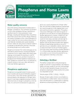 Phosphorus and Home Lawns
