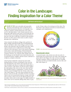 Monochromatic scheme - EDIS