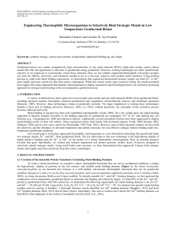 Paper - Stanford Earth Sciences