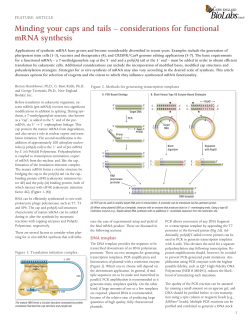 Minding your caps and tails &ndash; considerations for functional mRNA