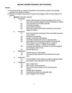 meiosis, spermatogenesis, and oogenesis