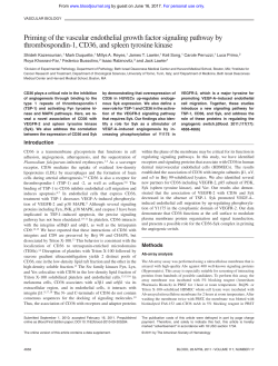 Priming of the vascular endothelial growth factor