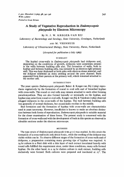 A Study of Vegetative Reproduction in Endomycopsis
