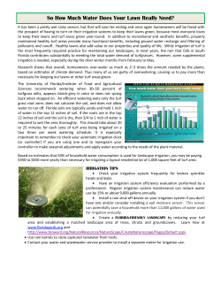 So How Much Water Does Your Lawn Really Need?