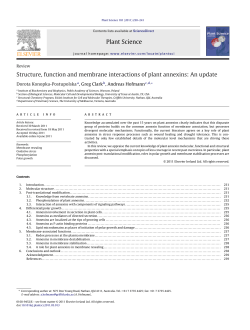 Structure, function and membrane interactions of plant annexins: An