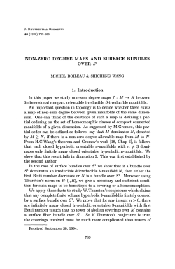 NON-ZERO DEGREE MAPS AND SURFACE