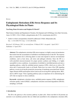 Endoplasmic Reticulum (ER) Stress Response and Its Physiological