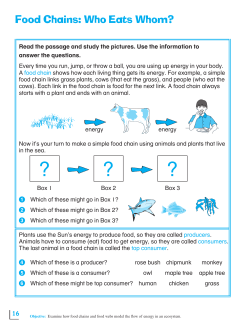 Food Chains: Who Eats Whom?