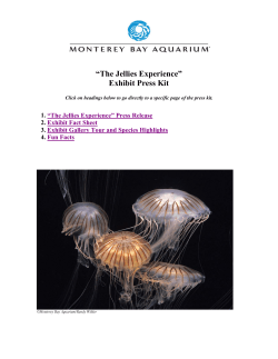 &ldquo;The Jellies Experience&rdquo; Exhibit Press Kit