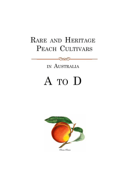 to glimpse inside - Leaves of Gold Press