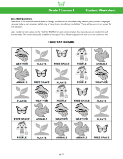 Grade 2 Lesson 1 Student Worksheet