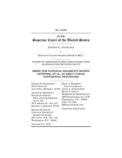 amicus brief