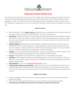 Taking Care of Newly Planted Trees