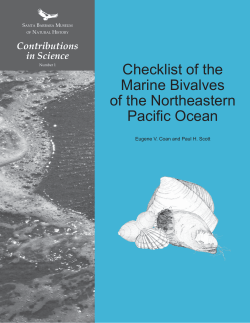 pdf - Santa Barbara Museum of Natural History