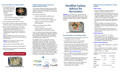 Shellfish Safety: Advice for Harvesters Shellfish Safety