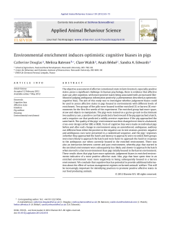 Environmental enrichment induces optimistic cognitive biases in pigs