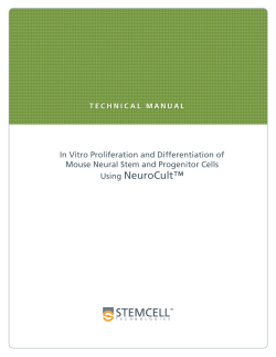 In Vitro Proliferation and Differentiation of Mouse Neural Stem Cells