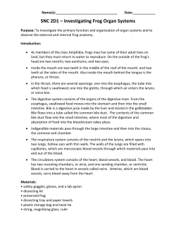 Frog Dissection Lab Guide