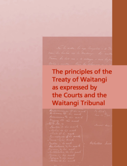 A Guide to the Principles of the Treaty of