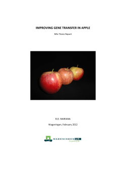improving gene transfer in apple - Wageningen UR E