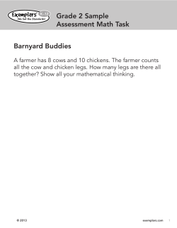 Grade 2 Sample Assessment Math Task Barnyard