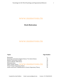 Theories of Work Motivation