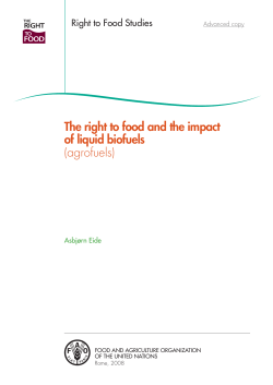The right to food and the impact of liquid biofuels (agrofuels)