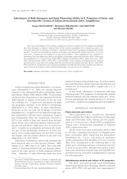 Inheritance of Bulb Dormancy and Early Flowering Ability in F1