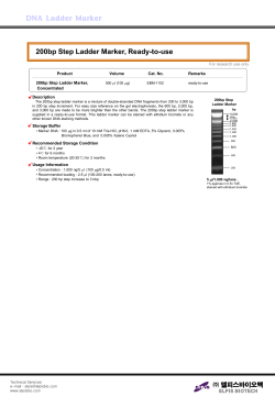 DNA Ladder Marker 200bp Step Ladder Marker, Ready-to-use
