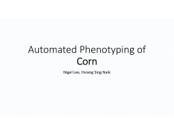 Automated Phenotyping of Corn