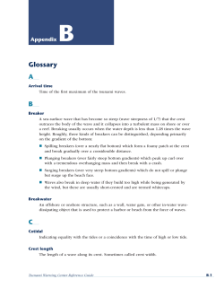 Glossary