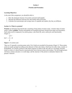1 Section 1 Proteins and Proteomics Learning Objectives At the end